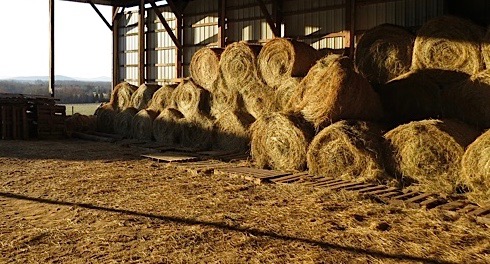 Scrap Hay.  What is it?  And What’s it to You?